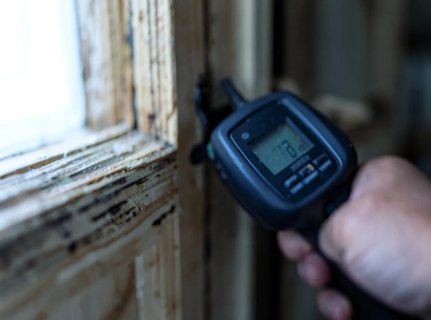 Moisture Inspection And Documentation in Armington, IL